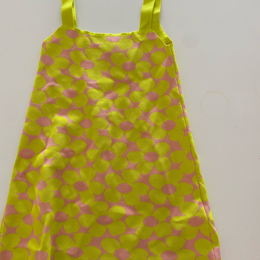 Never worn- Zara dress